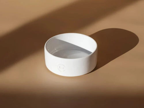 Ceramic Pet Bowl