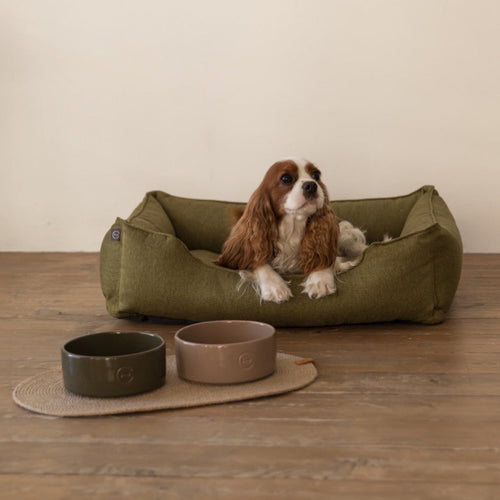 Ceramic Pet Bowl