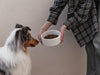 Ceramic Pet Bowl