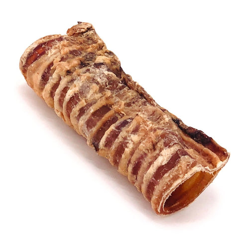 ValueBull Beef Trachea, Premium 5-6 Inch, 100 Count Bulk Pack