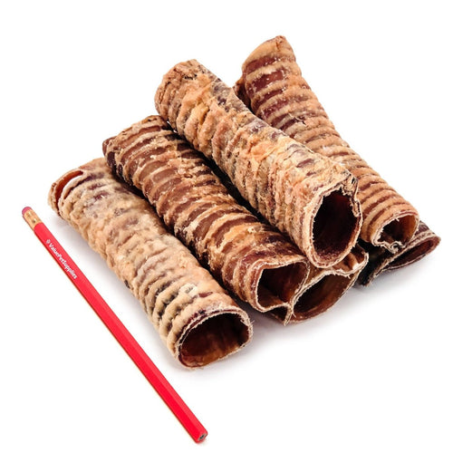 ValueBull Beef Trachea, Premium 5-6 Inch, 25 Count Bulk Pack