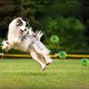 Pet Toy for Dogs - Interactive Chew Ball with Sound