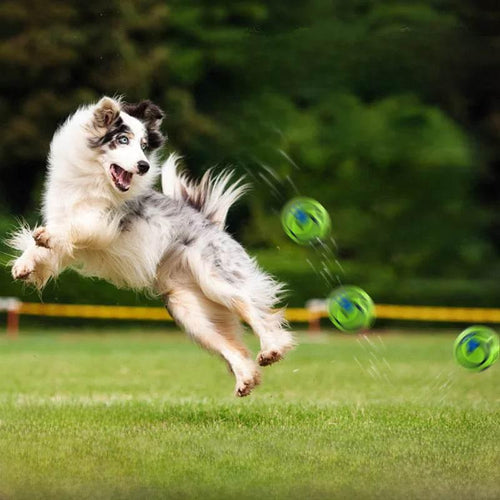 Pet Toy for Dogs - Interactive Chew Ball with Sound