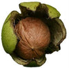 Exotic Nutrition Raw Walnuts
