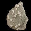 Gyrolite Crystal on prenite Natural Mineral Specimen # B 6635