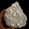 Gyrolite Crystal on prenite Natural Mineral Specimen # B 6635