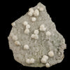 Gyrolite Crystal on prenite Natural Mineral Specimen # B 6635