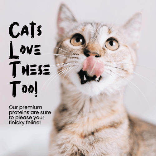 Wholesale Freeze Dried Chicken Heart Treats