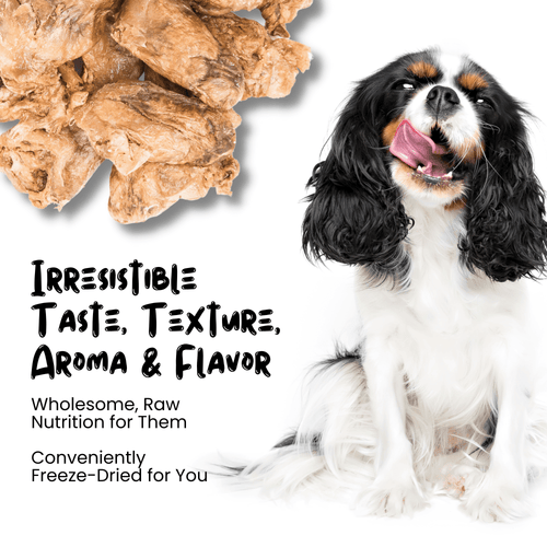 Wholesale Freeze Dried Chicken Heart Treats