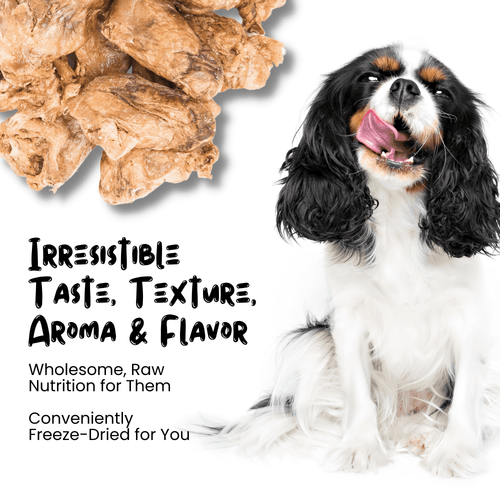 Wholesale Freeze Dried Duck Heart Treats