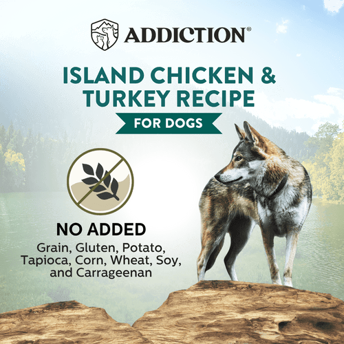 Wild Islands Island Chicken & Turkey Recipe Premium Grain-free Canned Dog Food 185g