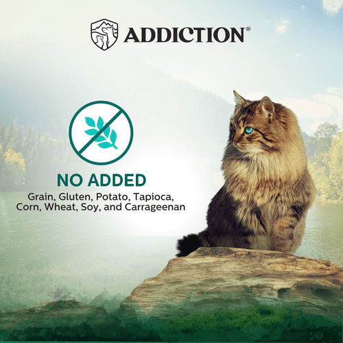 Wild Islands Island Birds Premium Chicken & Turkey Grain-Free Canned Cat Food