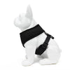 EcoBark Black Dog Harness - Over-the-Head Dog Vest Halter Dog for Small to Medium Dogs and Puppies