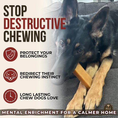 Himalayan Yak Chew (EXTRA LARGE)