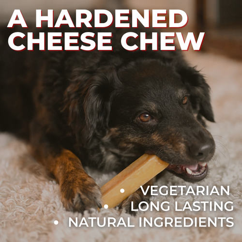 Himalayan Yak Chew (MEDIUM)