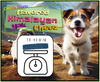 Blueberry Flavored Yak Cheese Chew - Made with REAL BLUEBERRY Puree - Single