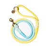 Sunshine Waves Tie Dye Leash - Glow Pups
