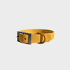Everyday Collar