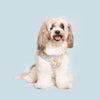 Boho Baby Adjustable Harness